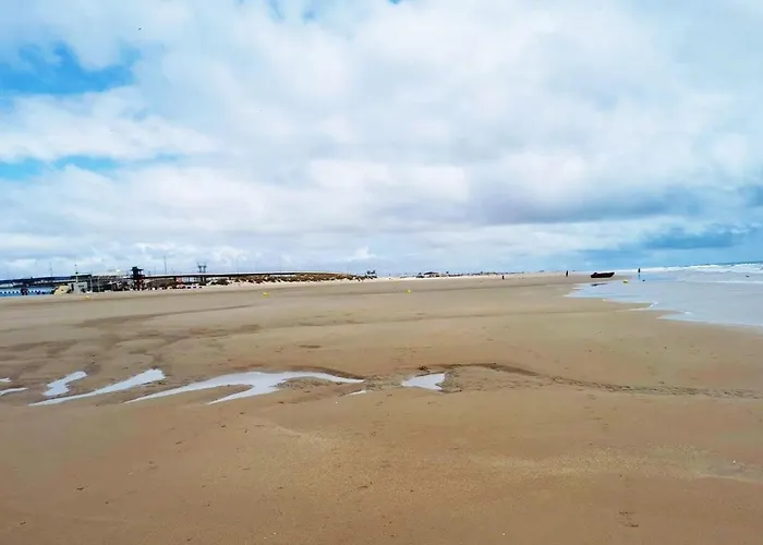 Romantica Vista Al Paseo Maritimo De Cadiz