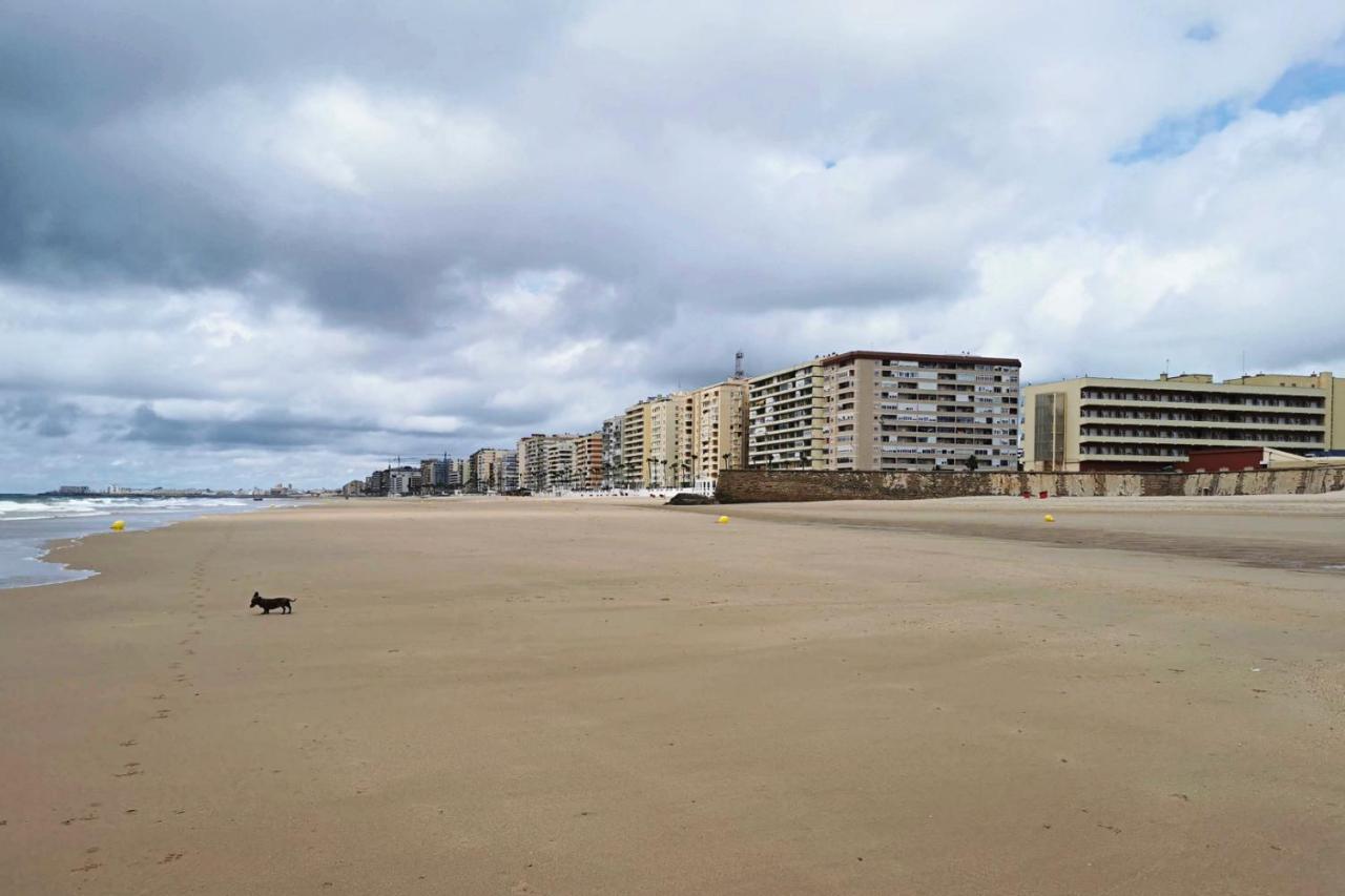 Romantica Vista Al Paseo Maritimo De Cadiz